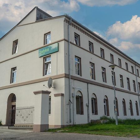 Hostel Krosnienska 12 Grünberg Exterior foto